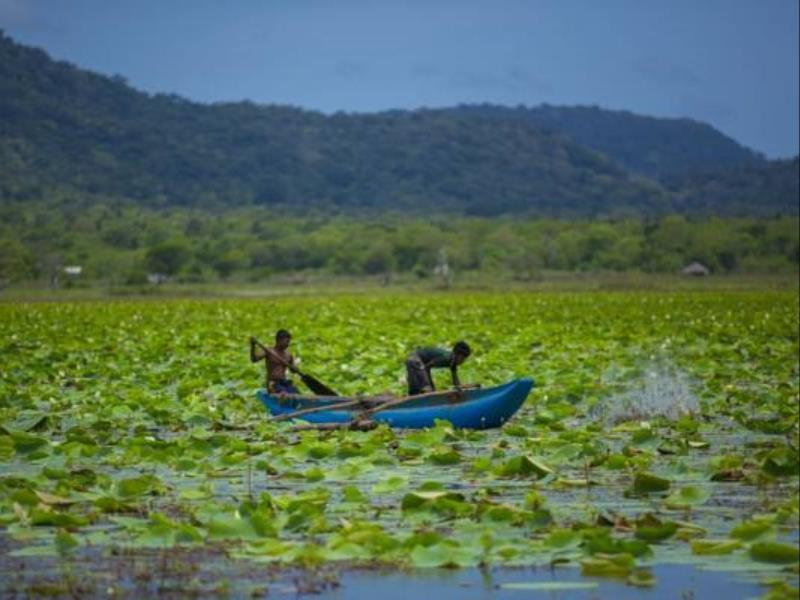 Grand Tamarind Lake Катарагама Екстер'єр фото